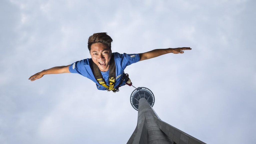 CroppedFocusedImage128072050-50-Bungy4