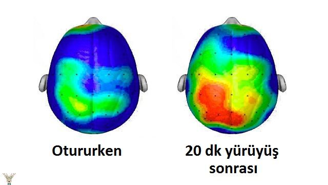 Beynimizi-Boş-Oturtmak-Yerine-Yapacağımız-20-Egzersizle-Kuvvetlendirebiliriz