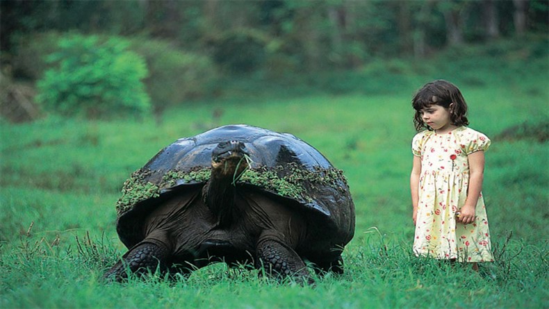 galapagos2_790x445