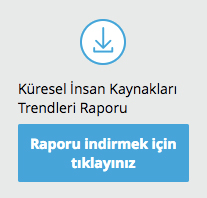 rapor_icin_tiklayin