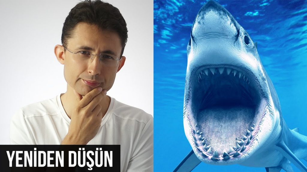 yeniden düşün