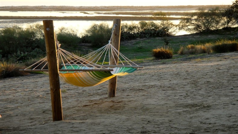 hammock-1074457_1280_790x445