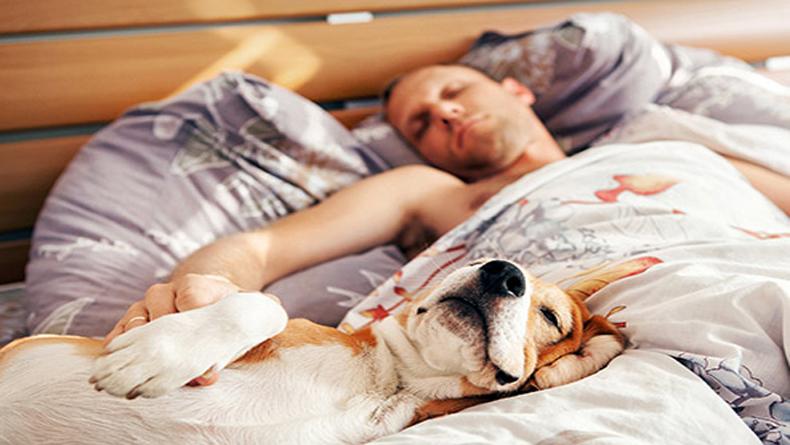 493ss_thinkstock_rf_man_sleeping_on_back_beside_basset_hound