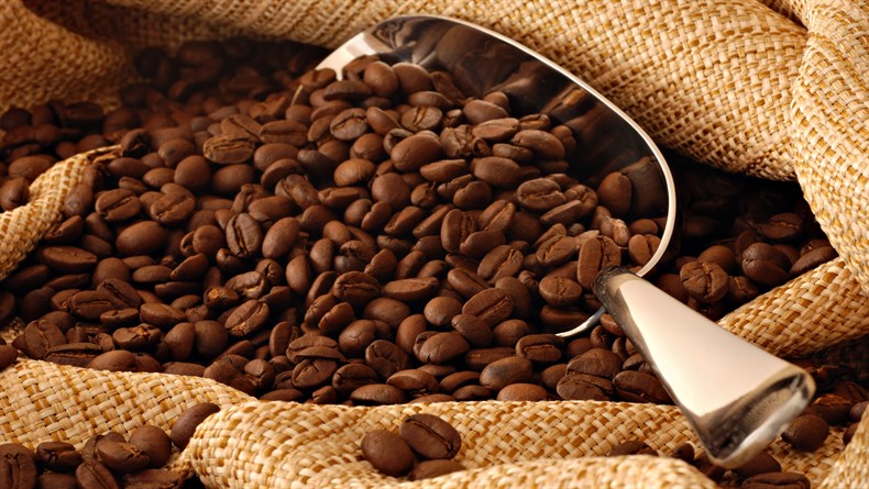 Kopi_Luwak_Coffee1_790x445