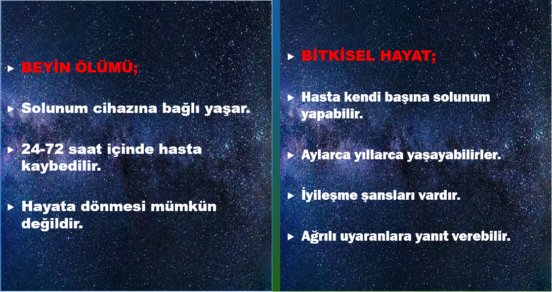 Beyin Ölümü Bitkisel Hayat Değildir.