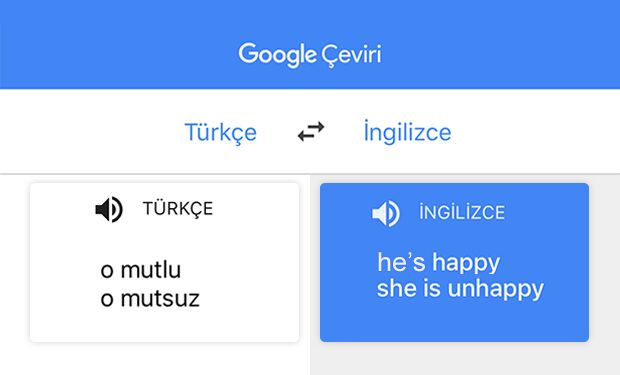 google translate özellikleri