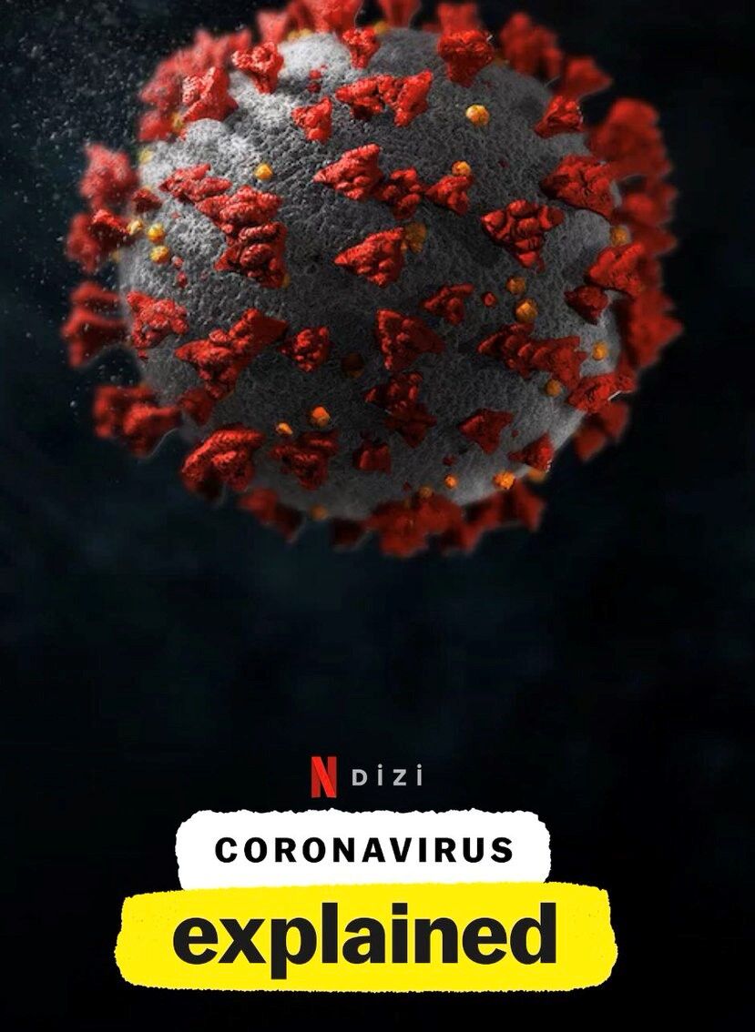 coronavirus explained