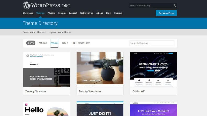 Wordpress