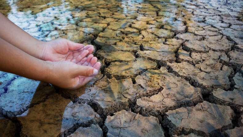 WWF Duyurdu: Türkiye'de Kuraklık Kritik Seviyede