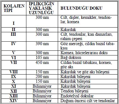 kolajen tipleri