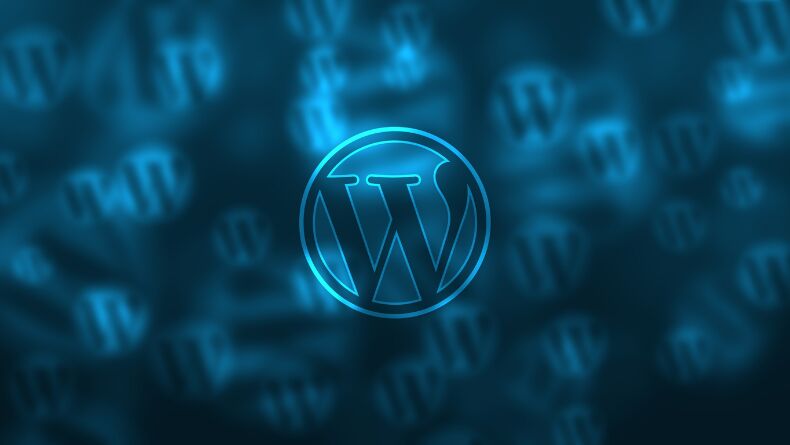 wordpress egitimi