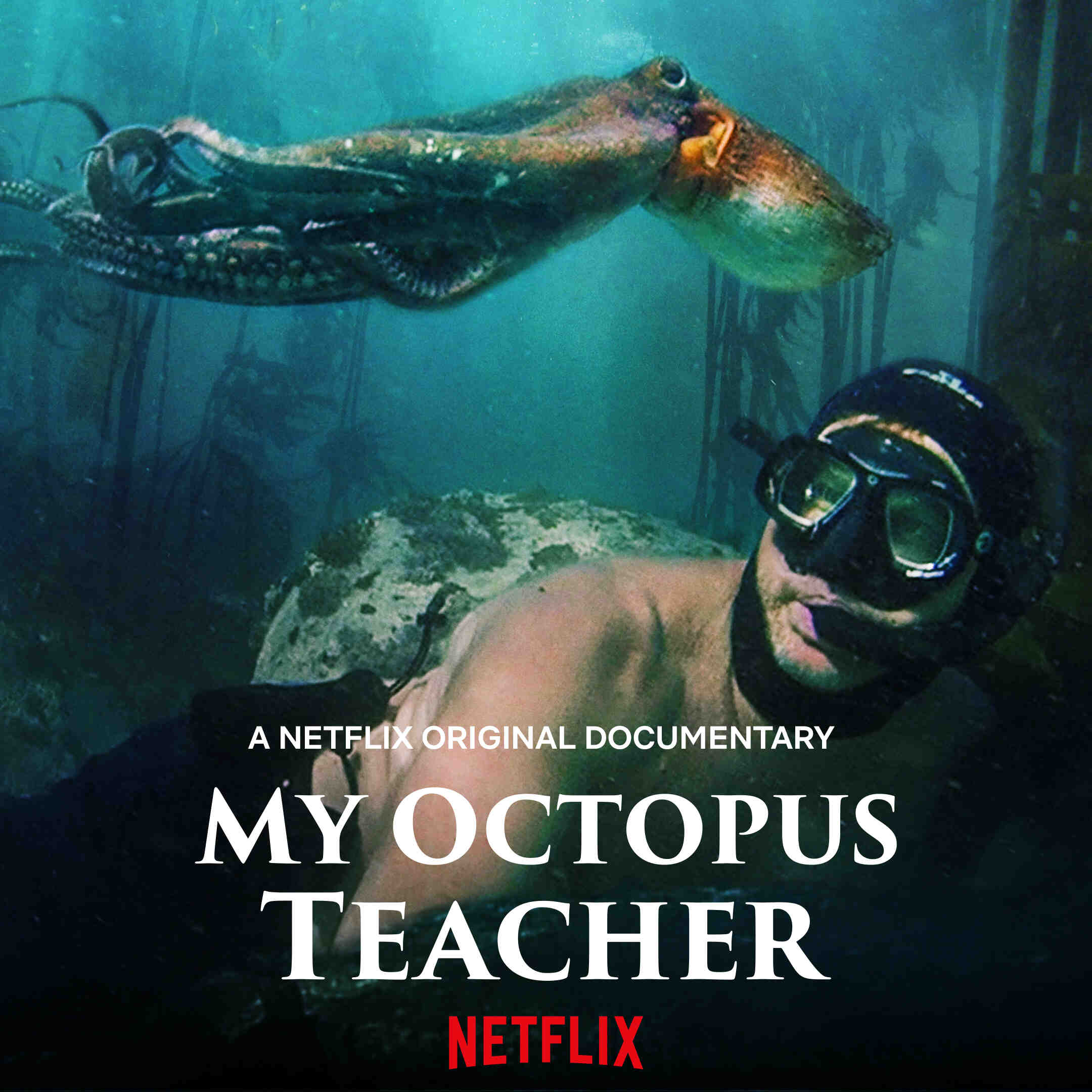 my octopus teacher