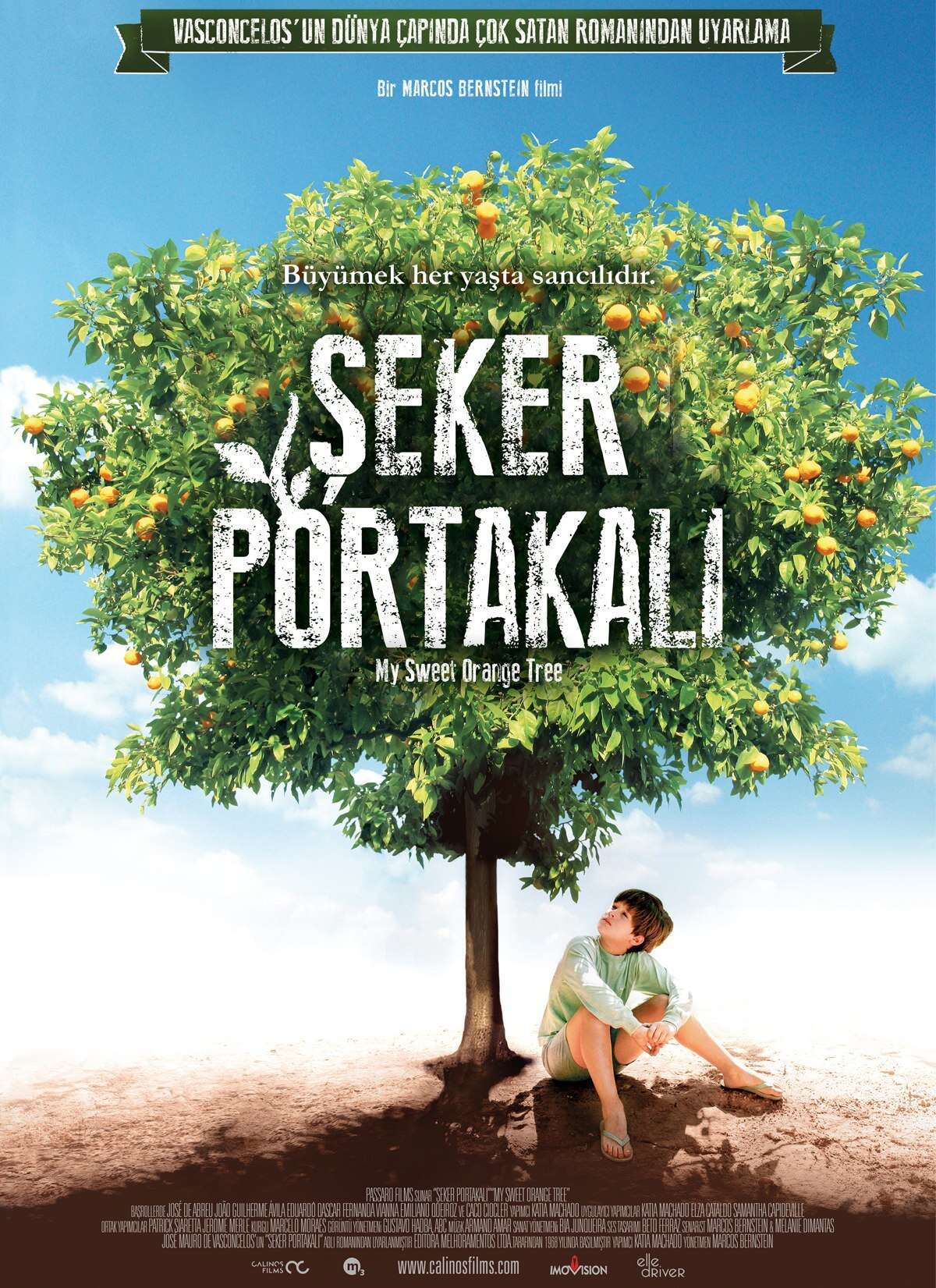 Şeker Portakalı